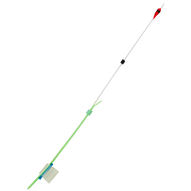 Sardziņš lavsāna Salmo WHITEFISH
