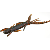 Vibroastes Lucky John Pro Series HOGY SHRIMP 3.5