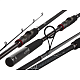 Spinings Daiwa BALLISTIC X JIGGERSPIN