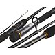 Spinings Daiwa LEGALIS SPIN