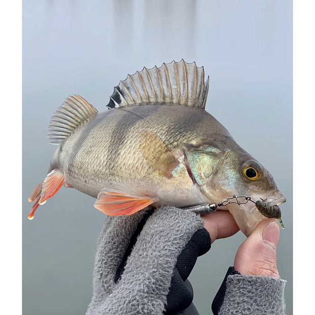Tārpi Lucky John Pro Series ULTRA WORM 1.4